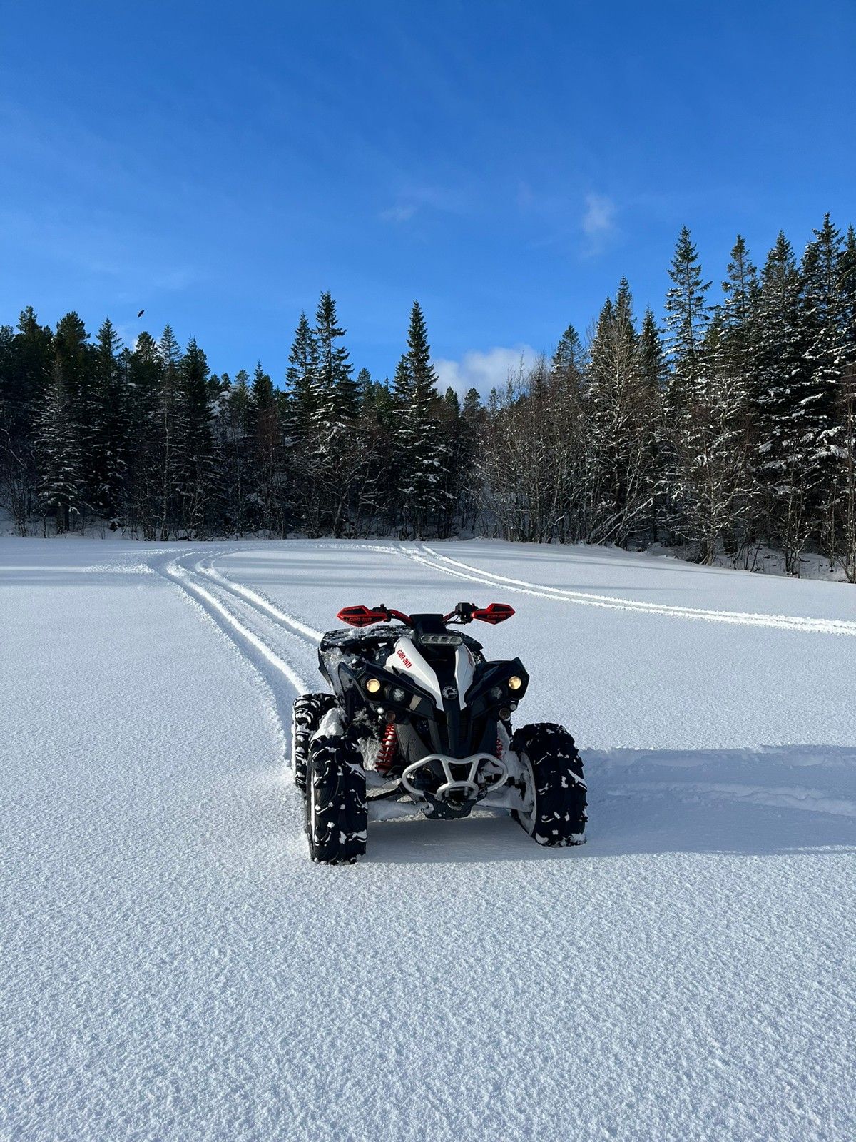 2018 Can-Am Renegade G2 650 - 3220km